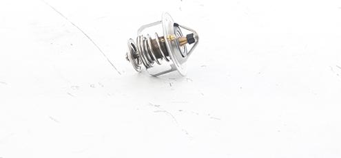 BSG BSG 16-125-008 - Coolant thermostat / housing car-mod.net