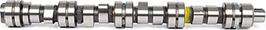 BSG BSG 30-108-006 - Camshaft car-mod.net