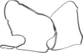 BSG BSG 30-116-111 - Gasket, cylinder head cover car-mod.net