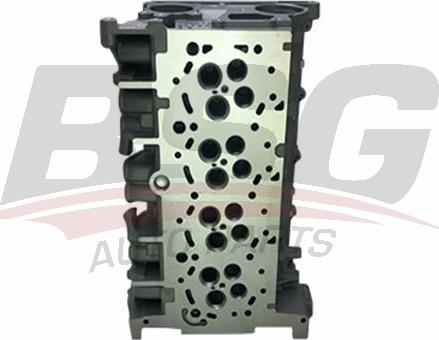 BSG BSG 30-110-008 - Cylinder Head car-mod.net