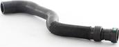 BSG BSG 30-720-241 - Radiator Hose car-mod.net