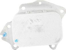 BSG BSG 70-506-004 - Oil Cooler, engine oil car-mod.net
