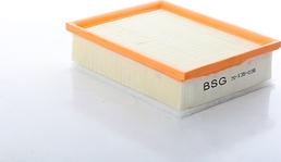 BSG BSG 70-135-038 - Engine Air Filter car-mod.net