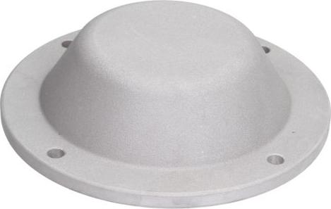 BTA B09-DAF-001 - Cover, wheel hub car-mod.net