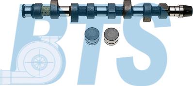 BTS Turbo CP60212 - Camshaft Kit car-mod.net
