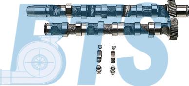 BTS Turbo CP60239 - Camshaft Kit car-mod.net