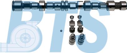BTS Turbo CP62297 - Camshaft Kit car-mod.net