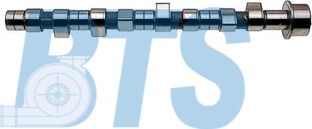 BTS Turbo CP16205 - Camshaft car-mod.net