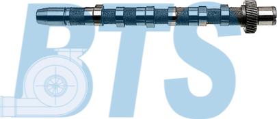 BTS Turbo CP10240 - Camshaft car-mod.net