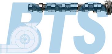 BTS Turbo CP10241 - Camshaft car-mod.net