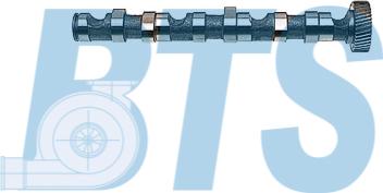 BTS Turbo CP10243 - Camshaft car-mod.net