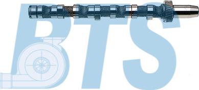 BTS Turbo CP10242 - Camshaft car-mod.net