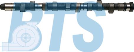 BTS Turbo CP10254 - Camshaft car-mod.net