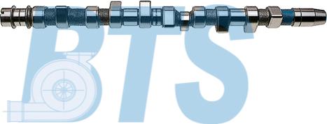 BTS Turbo CP10253 - Camshaft car-mod.net