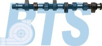 BTS Turbo CP10205 - Camshaft car-mod.net