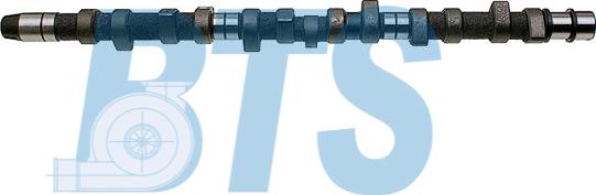 BTS Turbo CP10210 - Camshaft car-mod.net