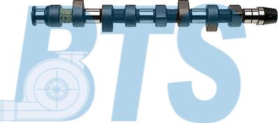 BTS Turbo CP10213 - Camshaft car-mod.net