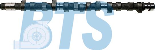 BTS Turbo CP10212 - Camshaft car-mod.net