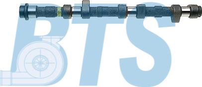 BTS Turbo CP10227 - Camshaft car-mod.net