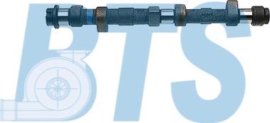 BTS Turbo CP10226 - Camshaft car-mod.net