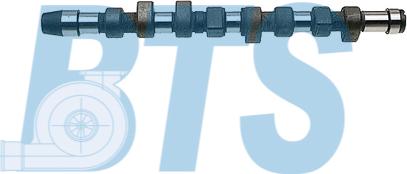 BTS Turbo CP10223 - Camshaft car-mod.net