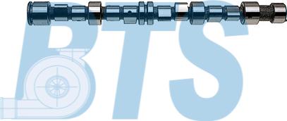 BTS Turbo CP12264 - Camshaft car-mod.net