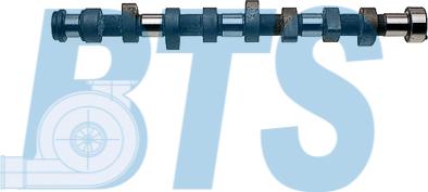 BTS Turbo CP12204 - Camshaft car-mod.net