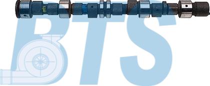 BTS Turbo CP12207 - Camshaft car-mod.net