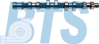 BTS Turbo CP12236 - Camshaft car-mod.net