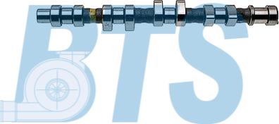BTS Turbo CP12237 - Camshaft car-mod.net
