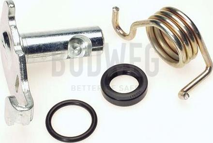 Budweg Caliper 209910 - Repair Kit, parking brake handle (brake caliper) car-mod.net