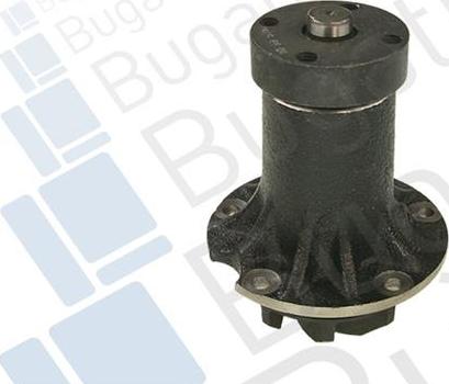 BUGATTI PA0135 - Water Pump car-mod.net