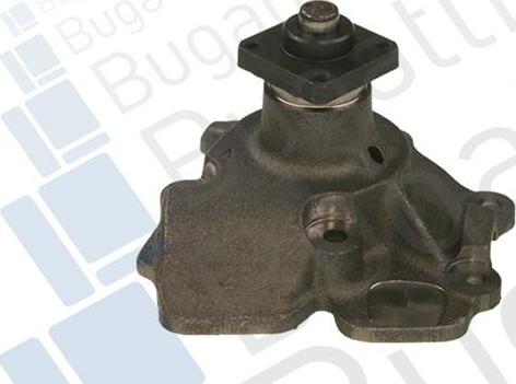 BUGATTI PA0323 - Water Pump car-mod.net