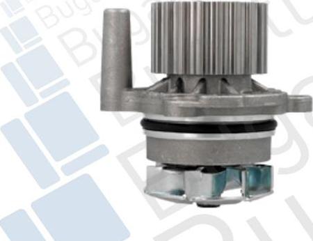 BUGATTI PA10380 - Water Pump car-mod.net