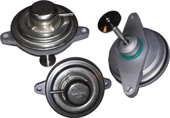 Bugiad BGR13038 - EGR Valve car-mod.net