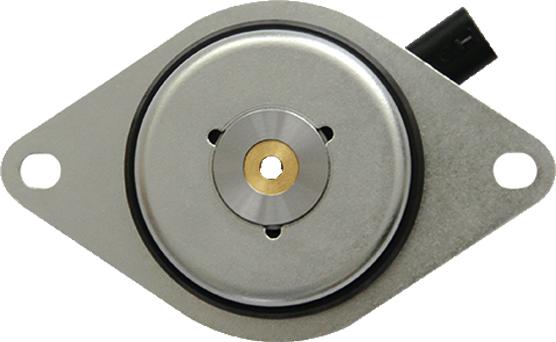 Bugiad BMS54531 - Control Valve, camshaft adjustment car-mod.net