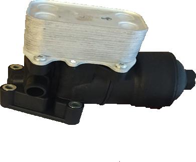 Bugiad BSP24941 - Housing, oil filter car-mod.net