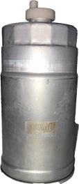 Bugiad BSP25057 - Fuel filter car-mod.net