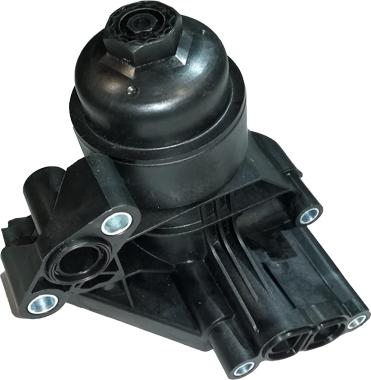 Bugiad BSP25223 - Housing, oil filter car-mod.net