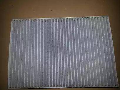 Bugiad BSP20651 - Filter, interior air car-mod.net