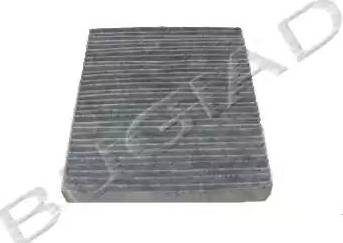Bugiad BSP20658 - Engine Air Filter car-mod.net