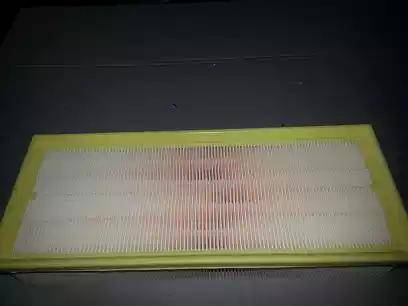 Bugiad BSP20663 - Engine Air Filter car-mod.net