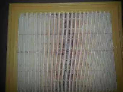 Bugiad BSP20856 - Engine Air Filter car-mod.net