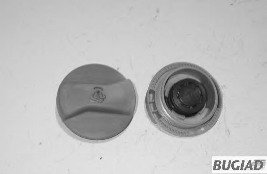 Bugiad BSP20394 - Sealing Cap, coolant tank car-mod.net