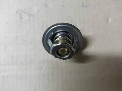 Bugiad BSP20369 - Coolant thermostat / housing car-mod.net