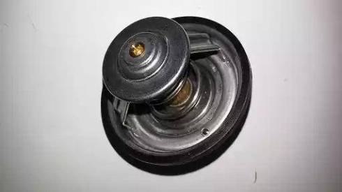 Bugiad BSP21549 - Coolant thermostat / housing car-mod.net