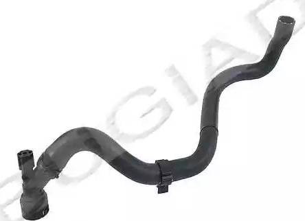 Bugiad BSP21834 - Radiator Hose car-mod.net