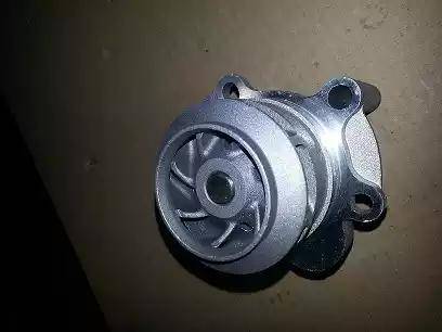 Bugiad BSP23115 - Water Pump car-mod.net