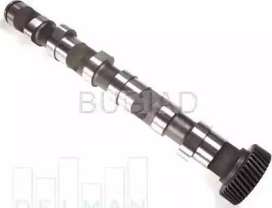 Bugiad BSP23272 - Camshaft car-mod.net