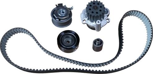 Bugiad BTB56504 - Water Pump & Timing Belt Set car-mod.net